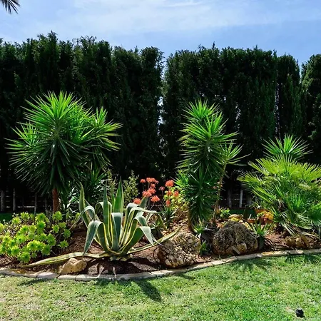 Cali San José
